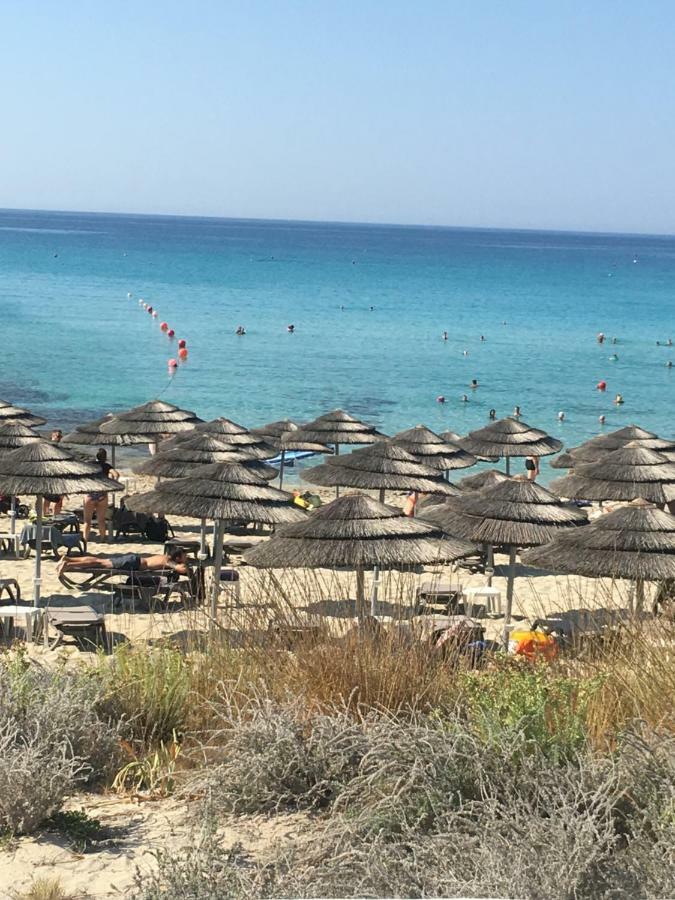 Narcissos 'Nissi Beach' Apartment C12 Aya Napa Dış mekan fotoğraf