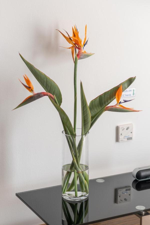 Narcissos 'Nissi Beach' Apartment C12 Aya Napa Dış mekan fotoğraf